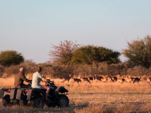 CampKalahari3