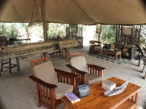 Pioneers-Camp-1-700x466