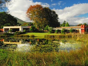 lilypond