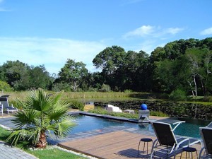 lilypond2