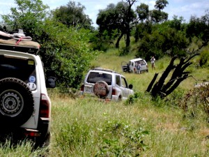 Limpopo4x4Trails