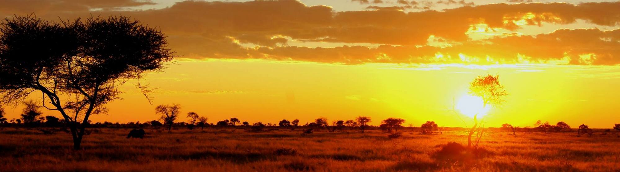 ©Dornhügel Farm, Namibia; Kalahari – Afrika Spezial Safaris, Dresden