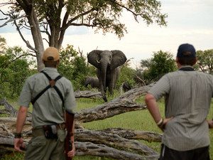 © Imvelo Safari Lodges; Kalahari – Afrika Spezial Safaris, Dresden