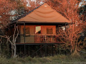 © Imvelo Safari Lodges; Kalahari – Afrika Spezial Safaris, Dresden