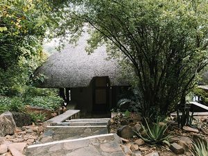 ©Chilo Gorge Lodge, Simbabwe; Kalahari - Afrika Spezial Safaris, Dresden
