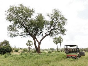 ©Chilo Gorge Lodge, Simbabwe; Kalahari - Afrika Spezial Safaris, Dresden