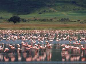 ©Ngorongoro Crater Lodge, Tansania; Kalahari - Afrika Spezial Safaris, Dresden