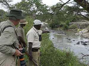©Serengeti Migration Camp, Tansania; Kalahari - Afrika Spezial Safaris, Dresden