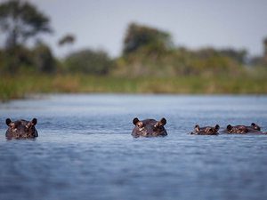 ©Mopiri Camp, Botswana; Kalahari – Afrika Spezial Safaris, Dresden