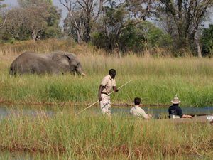 ©Pom Pom Camps, Botswana; Kalahari – Afrika Spezial Safaris, Dresden